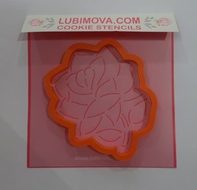 роза с веткой